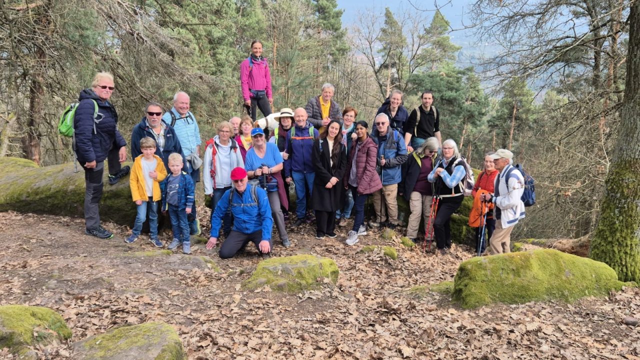 d1282a7b-107e-45b4-80b9-542e0a77163b