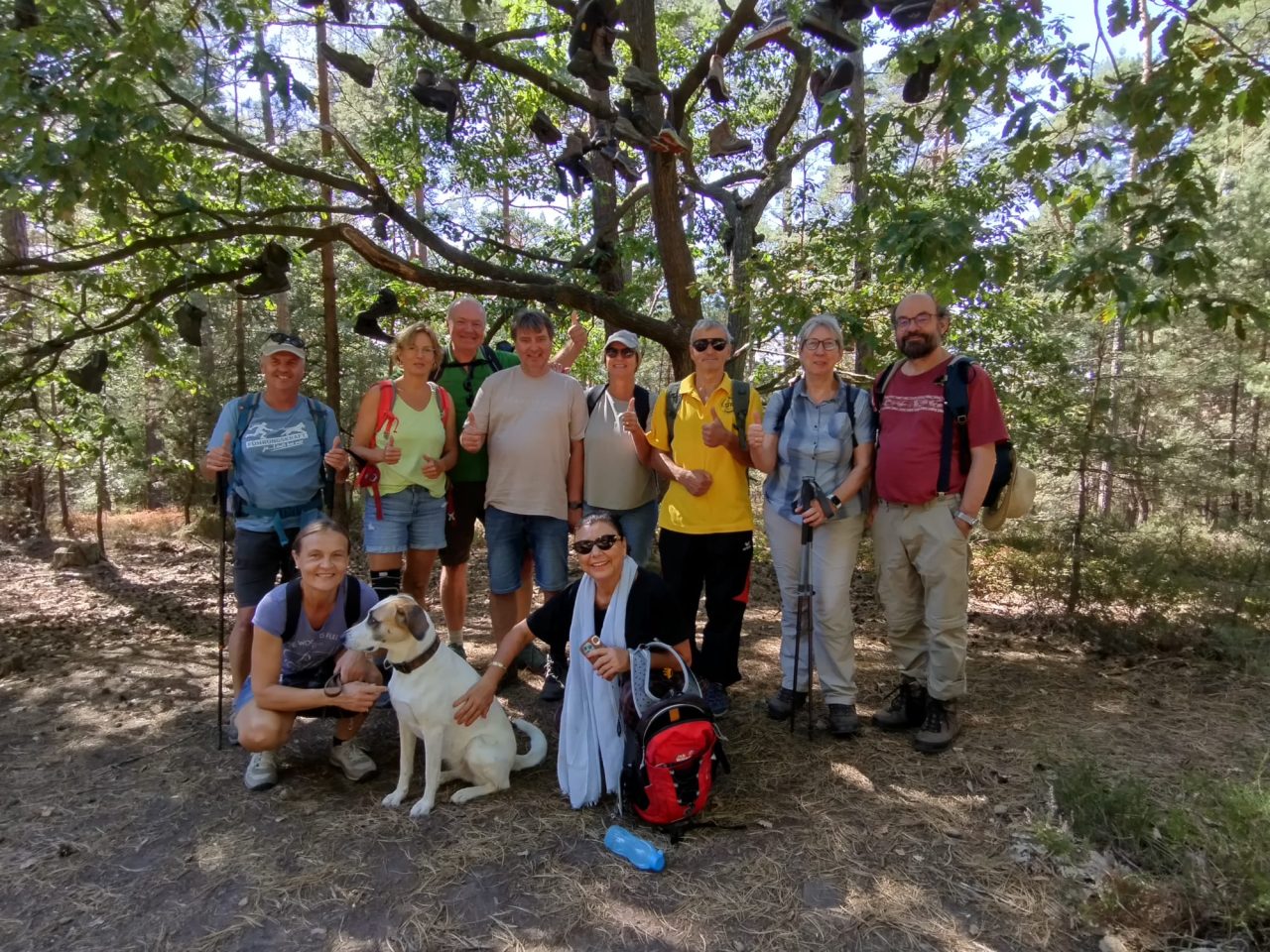 GTF Wanderung 2026